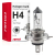 Żarówka halogenowa H4 24V 70/75W filtr UV (E4)