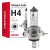 Żarówka halogenowa H4 12V 60/55W filtr UV (E4)