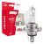Żarówki halogenowe H4 12V 60/55W LumiTec SILVER +100% DUO