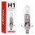 Żarówka halogenowa H1 24V 70W