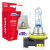 Żarówki halogenowe H11 12V 55W LumiTec LIMITED +130% DUO