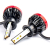 Żarówki samochodowe LED BF Series AMiO H1