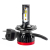 Żarówki samochodowe LED BF Series AMiO H4